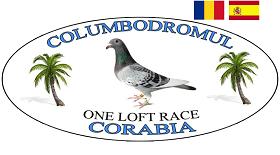 Derby CORABIA Winter