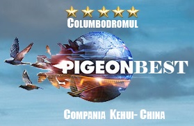 Columbodromul PIGEON BEST - Prahova